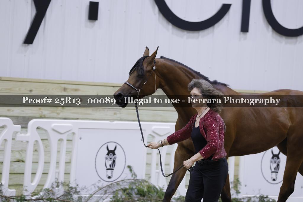 Proof Number 25R13_00089