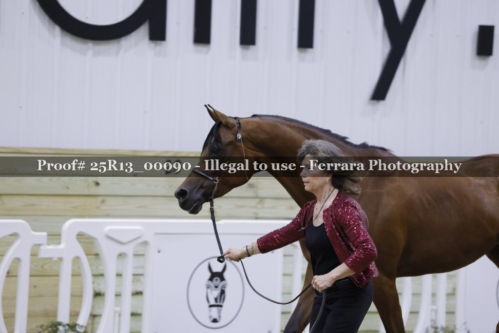 Proof Number 25R13_00090
