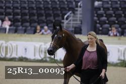 25R13_00095 thumbnail