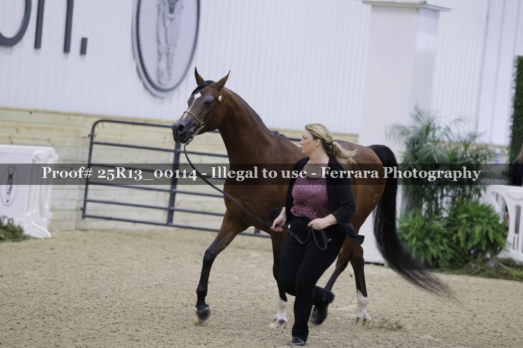 Proof Number 25R13_00114