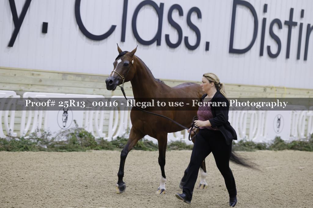 Proof Number 25R13_00116