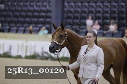 25R13_00120 thumbnail