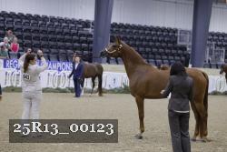 25R13_00123 thumbnail