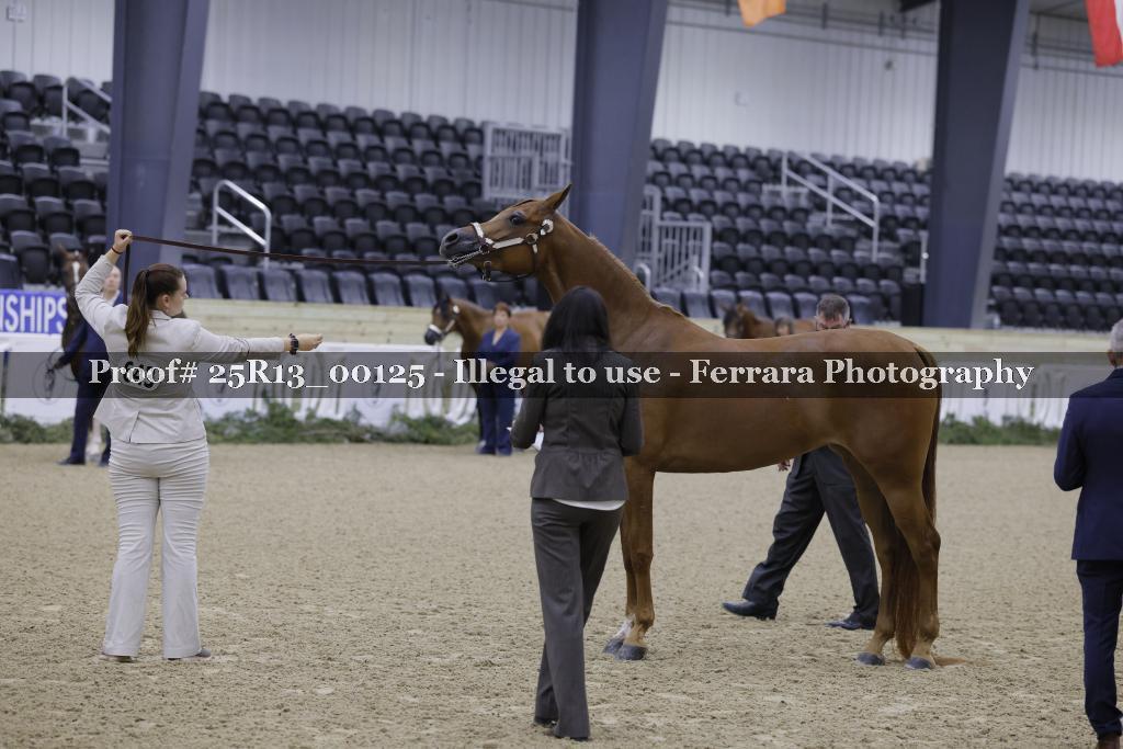 Proof Number 25R13_00125