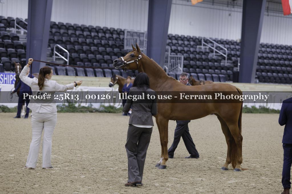 Proof Number 25R13_00126