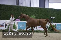 25R13_00130 thumbnail