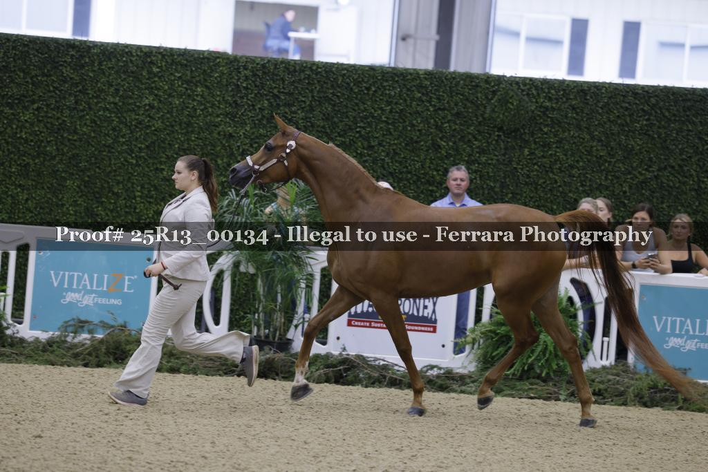 Proof Number 25R13_00134