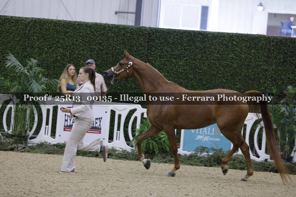 Proof Number 25R13_00135
