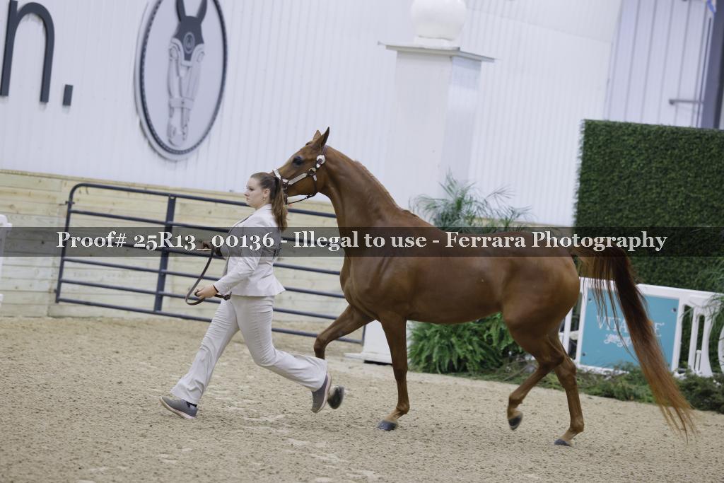 Proof Number 25R13_00136