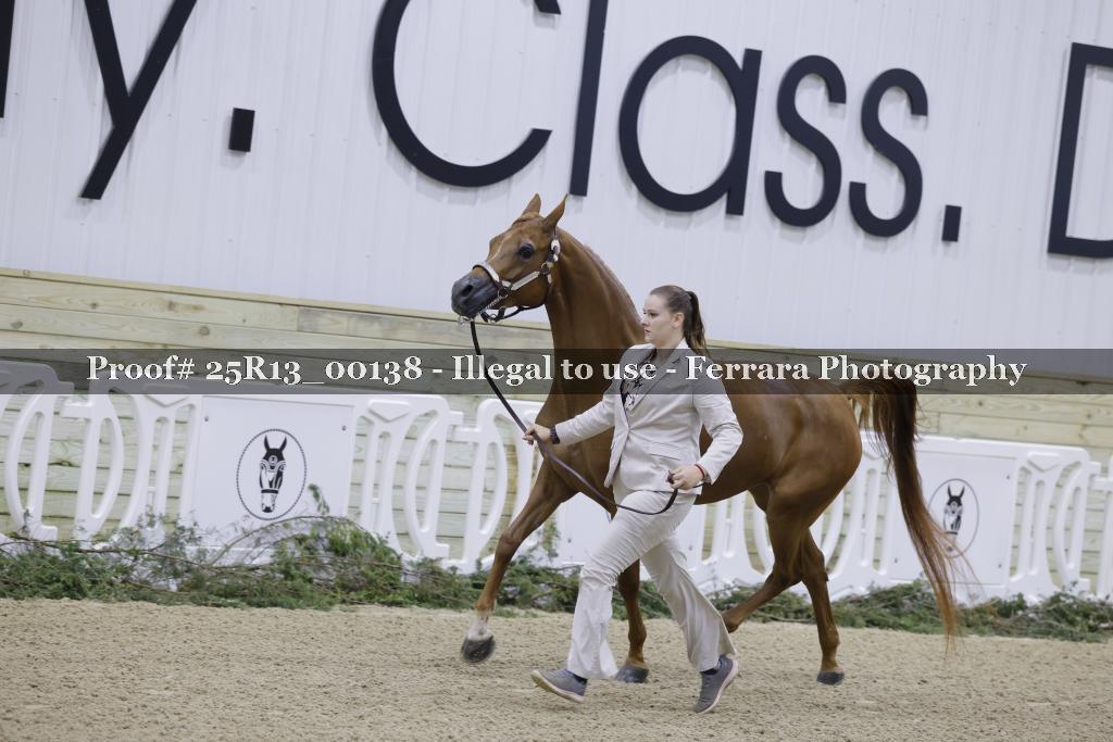 Proof Number 25R13_00138