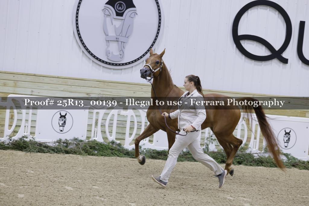 Proof Number 25R13_00139
