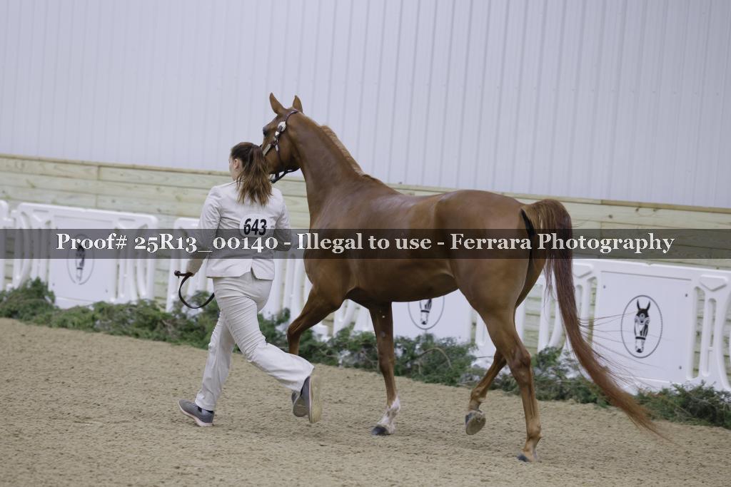 Proof Number 25R13_00140