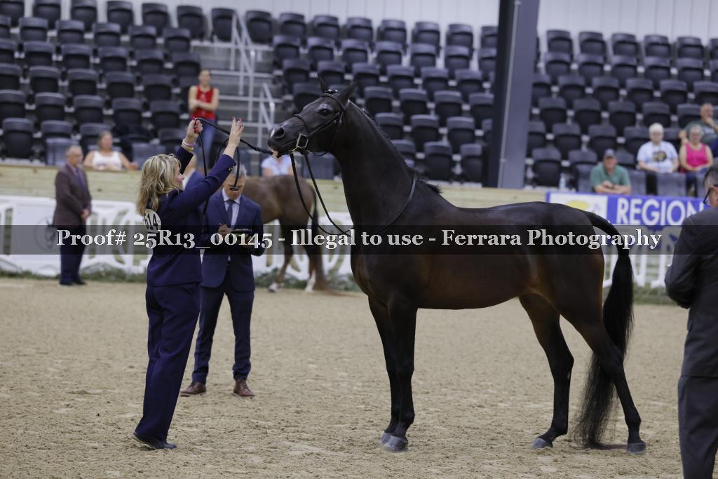Proof Number 25R13_00145
