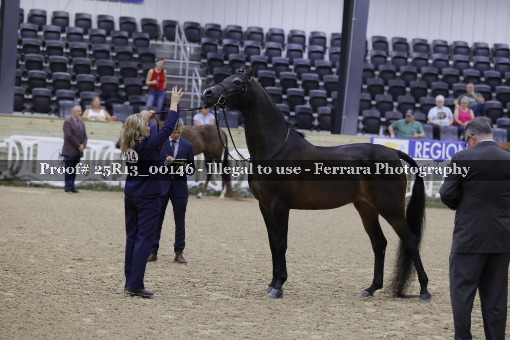 Proof Number 25R13_00146