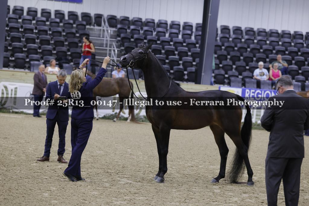 Proof Number 25R13_00147
