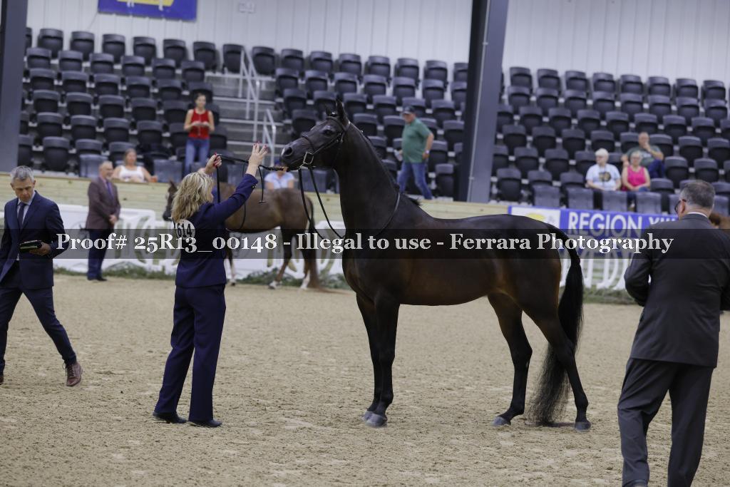 Proof Number 25R13_00148