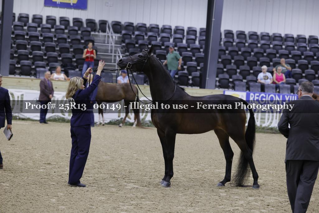 Proof Number 25R13_00149