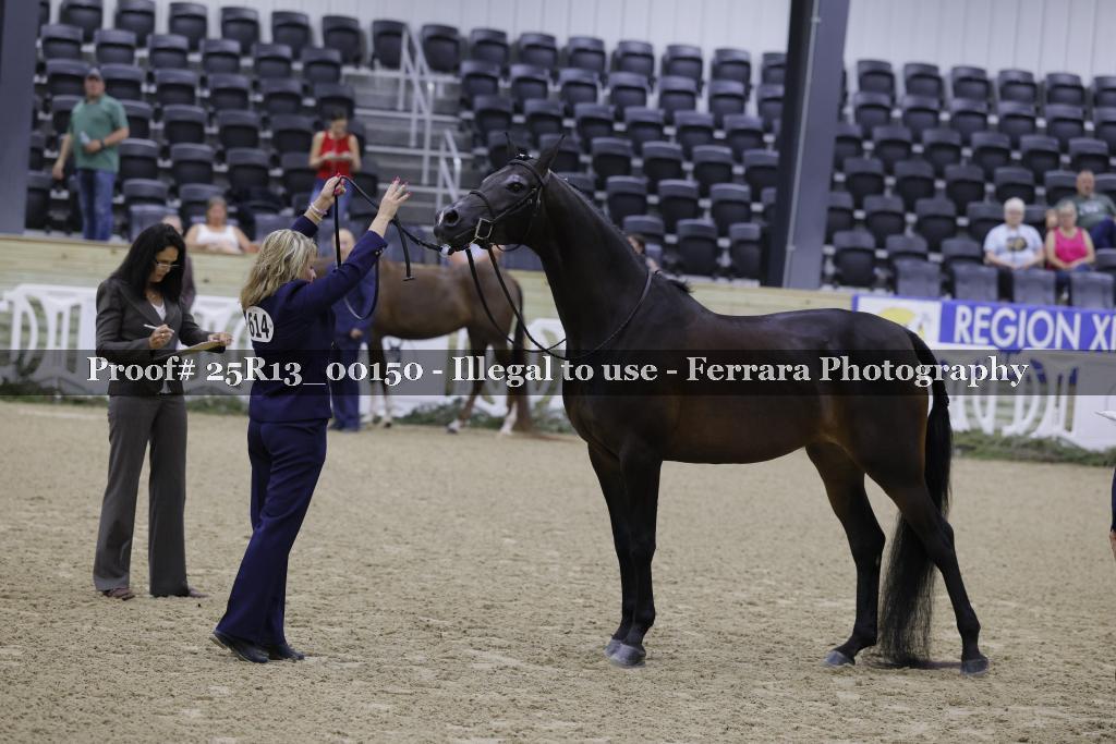 Proof Number 25R13_00150