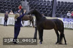 25R13_00151 thumbnail