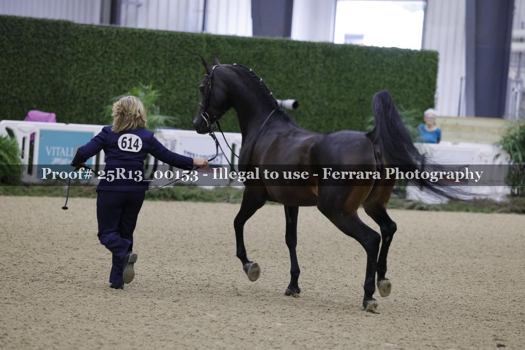 Proof Number 25R13_00153