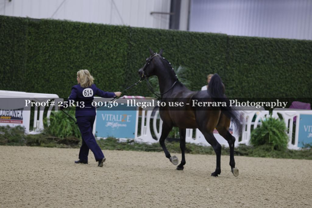 Proof Number 25R13_00156
