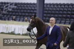25R13_00165 thumbnail