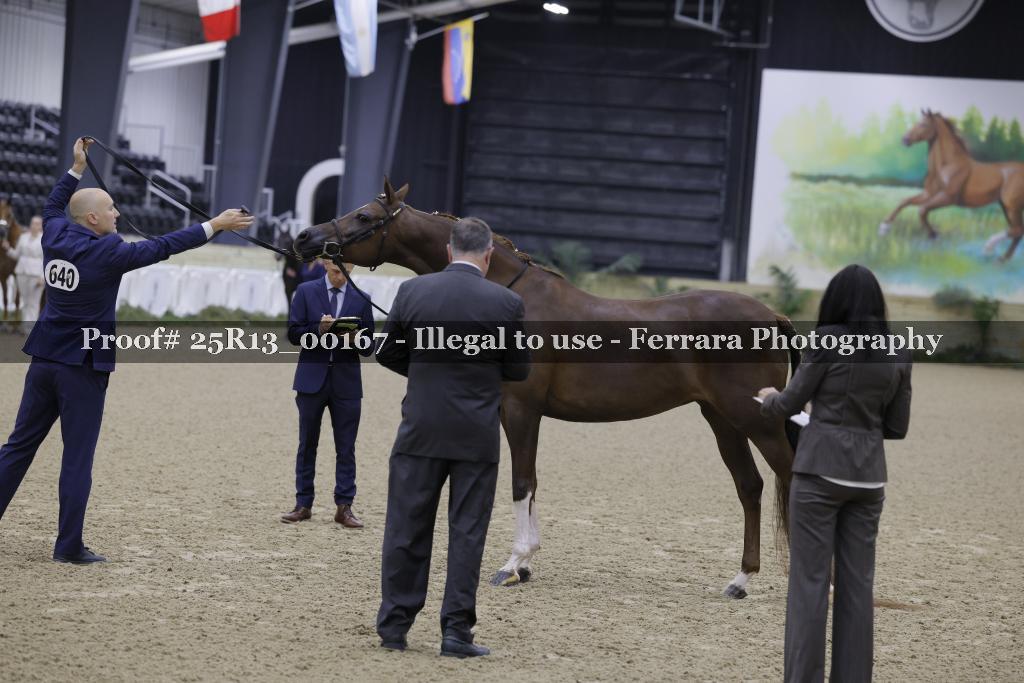 Proof Number 25R13_00167
