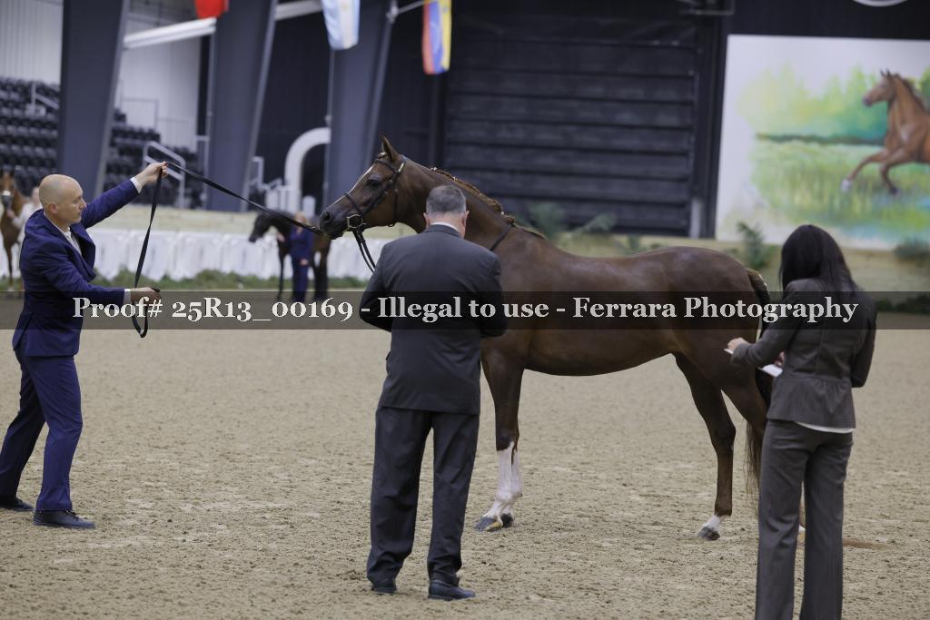 Proof Number 25R13_00169
