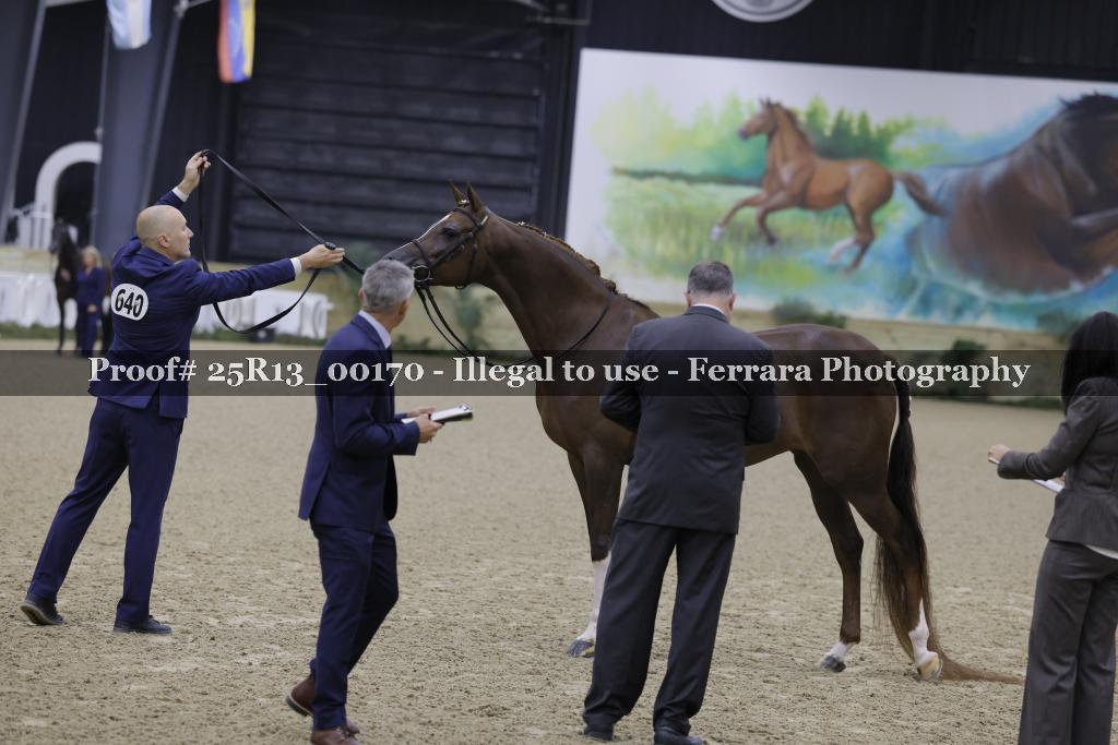 Proof Number 25R13_00170