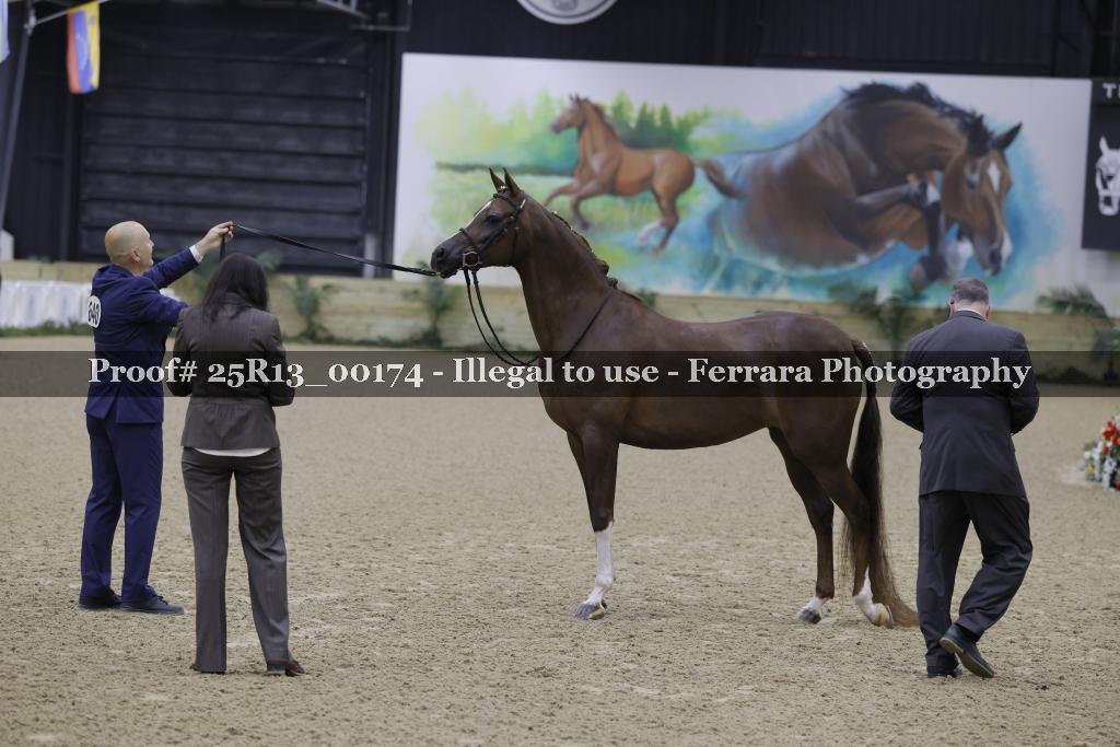Proof Number 25R13_00174