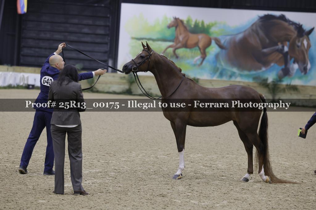 Proof Number 25R13_00175