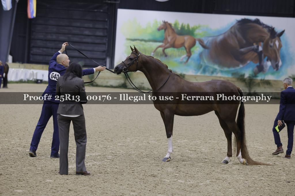 Proof Number 25R13_00176