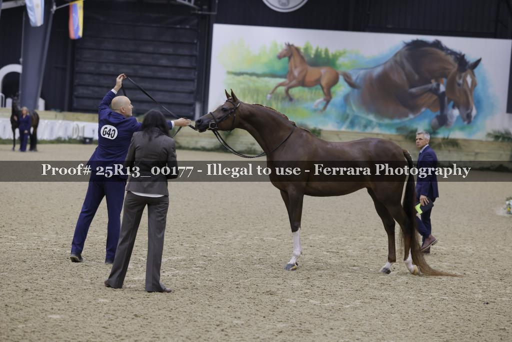 Proof Number 25R13_00177