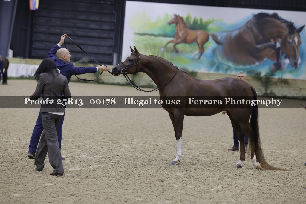 Proof Number 25R13_00178
