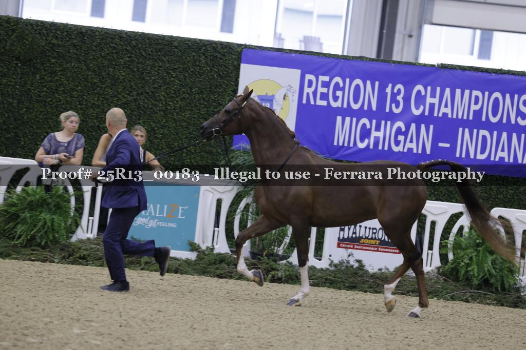 Proof Number 25R13_00183