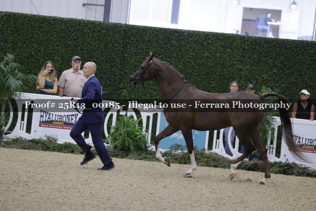 Proof Number 25R13_00185