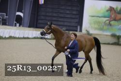25R13_00227 thumbnail