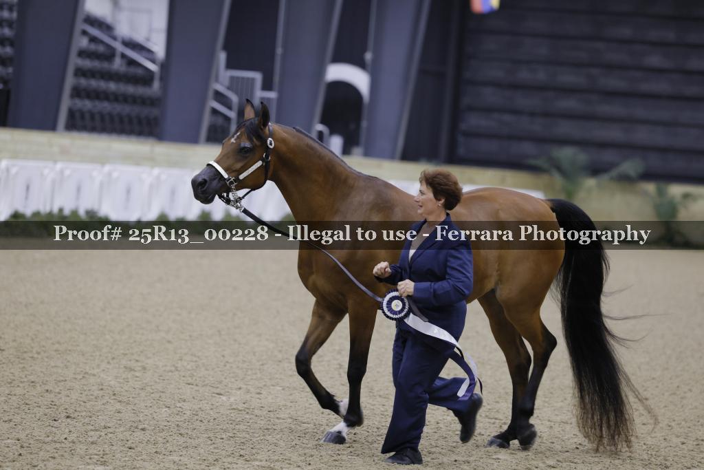 Proof Number 25R13_00228