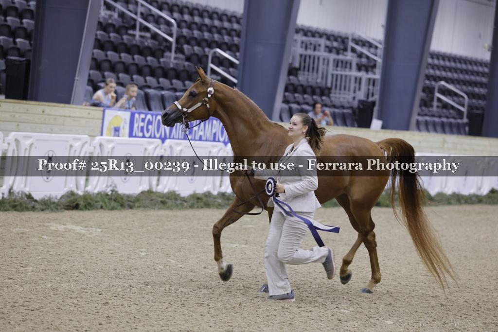 Proof Number 25R13_00239