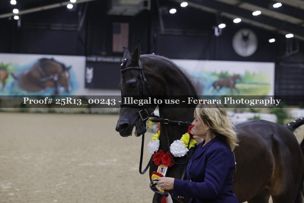 Proof Number 25R13_00243