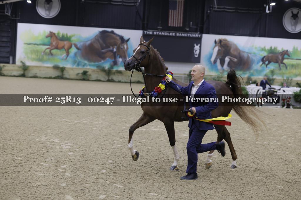 Proof Number 25R13_00247