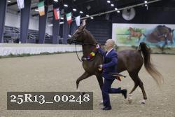 25R13_00248 thumbnail