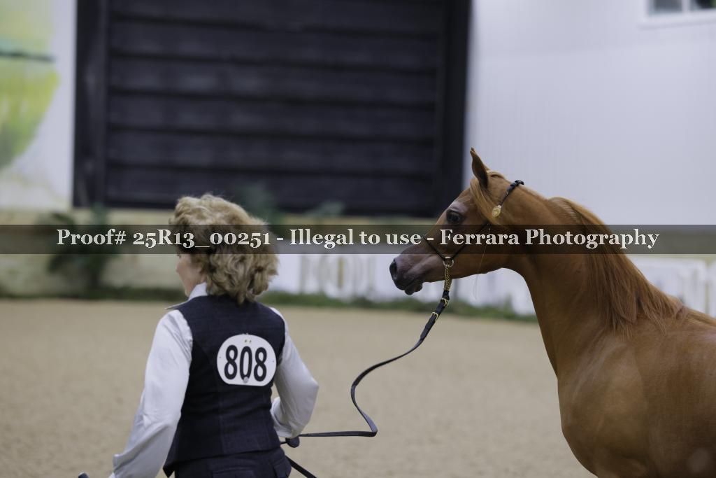 Proof Number 25R13_00251