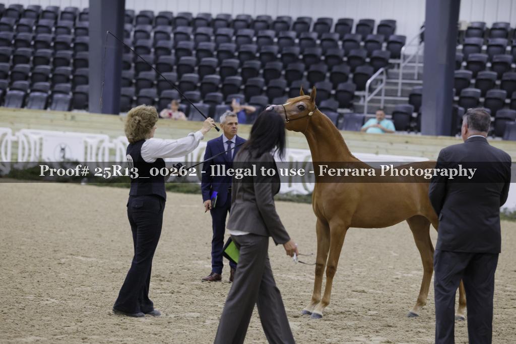 Proof Number 25R13_00262