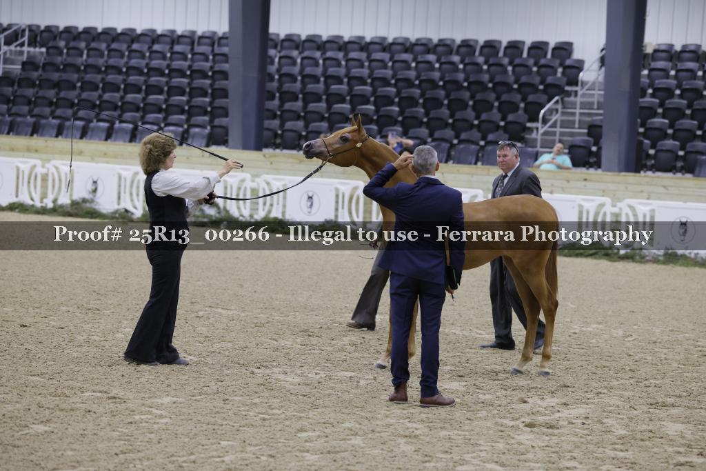 Proof Number 25R13_00266