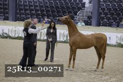 25R13_00271 thumbnail