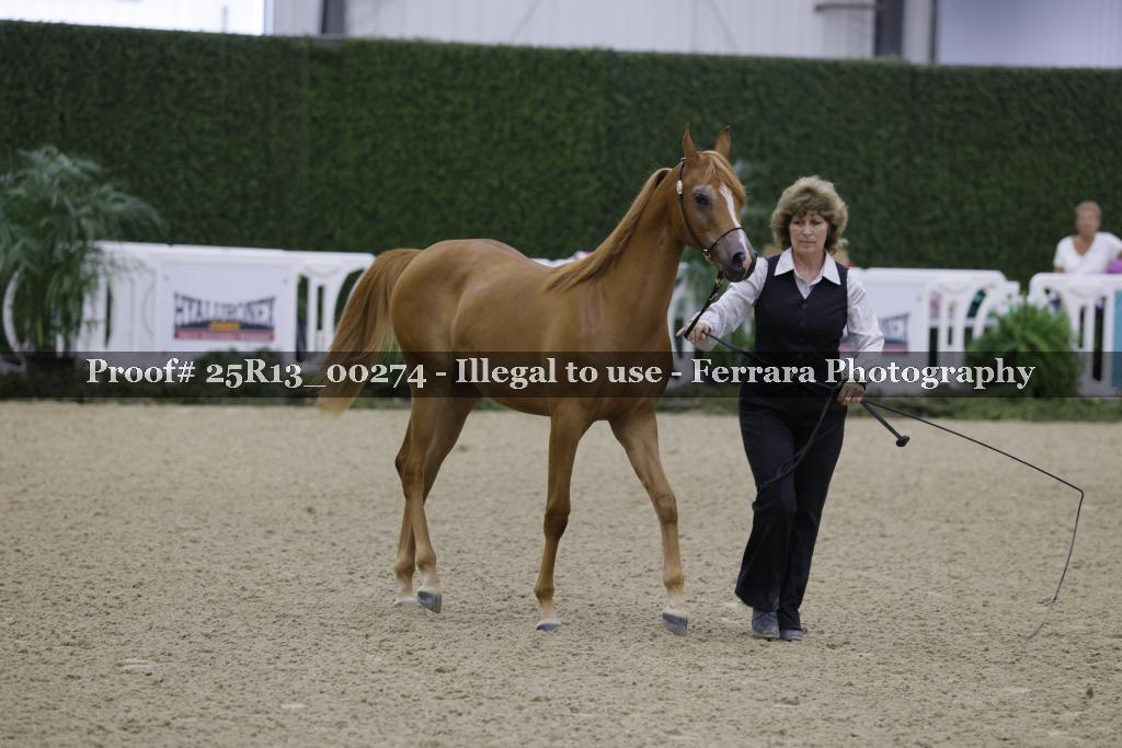 Proof Number 25R13_00274