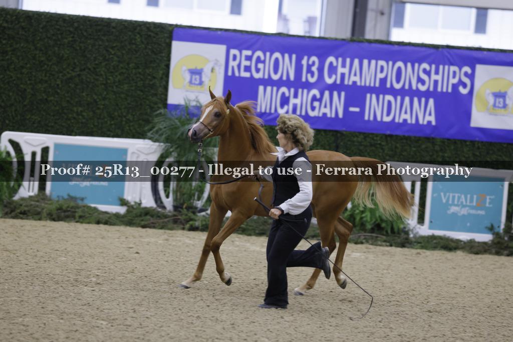 Proof Number 25R13_00277