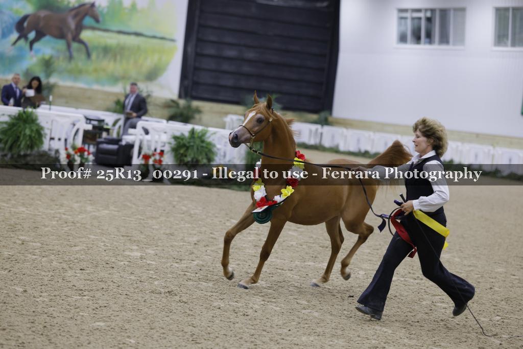 Proof Number 25R13_00291