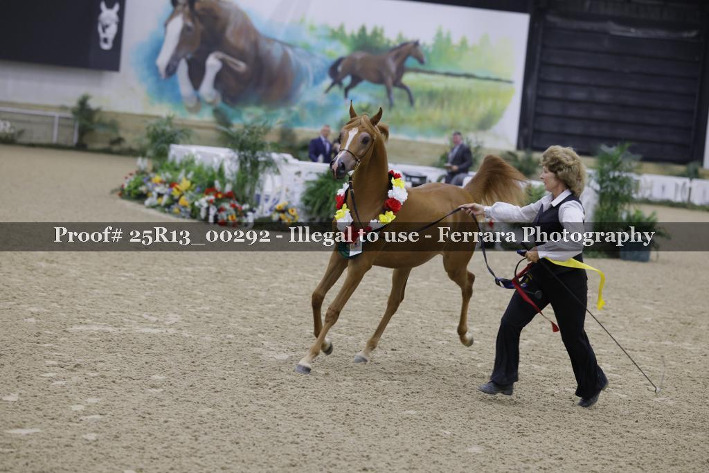 Proof Number 25R13_00292